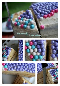 PicMonkey Collage Sixlets Cake.jpg